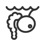 Breeding Sites SVG Icon